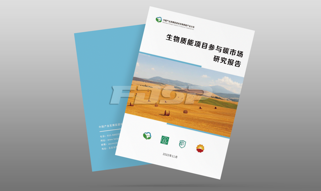 “双碳”政策红利 |《生物质能项目参与碳市场研究报告》(图2)