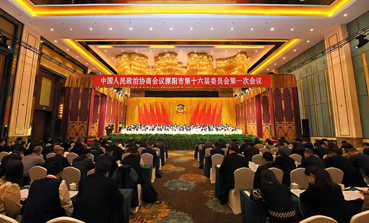 良友股份董事长陈志亮参加政协溧阳第十六届委员会第一次会议